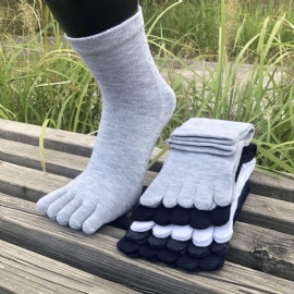 Vijfvingersokken Voor Heren Four Seasons Five Finger Socks